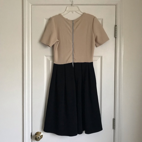 NEW LuLaRoe Amelia Dress - Picture 3 of 5